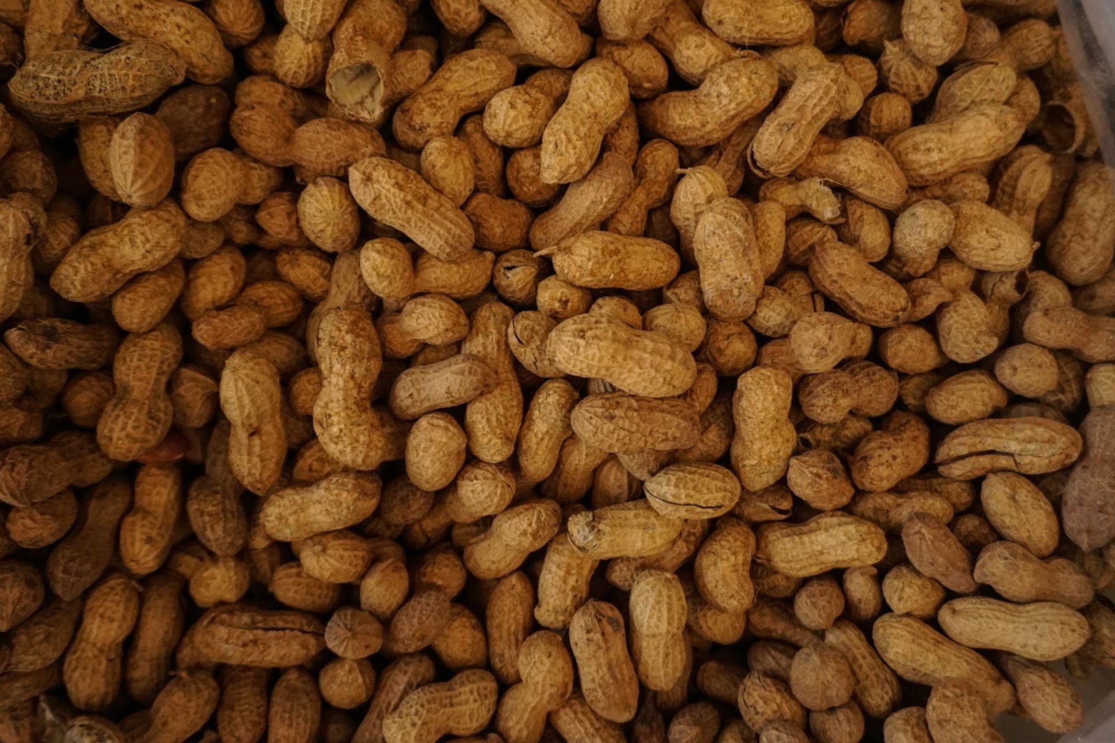 A large pile of in-shell peanuts